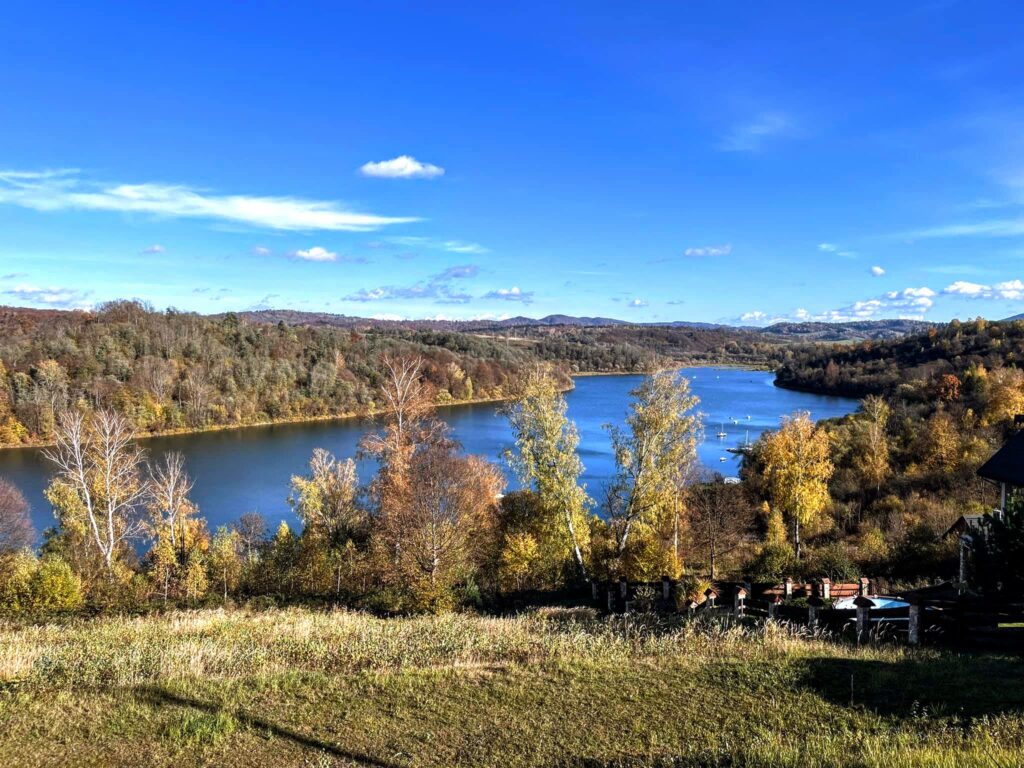 widok3
